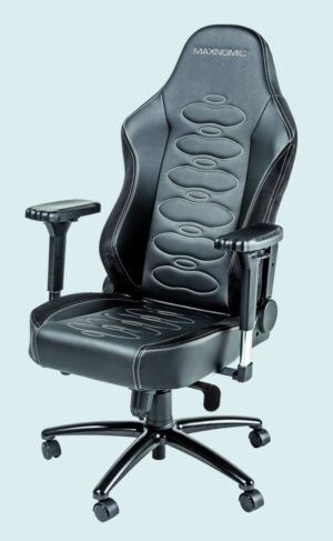 Maxnomic Ergoceptor OFC