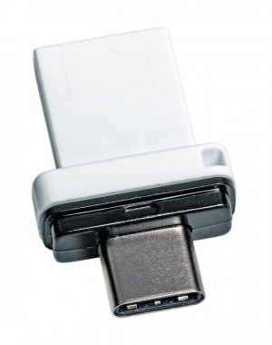 Integral Fusion Dual